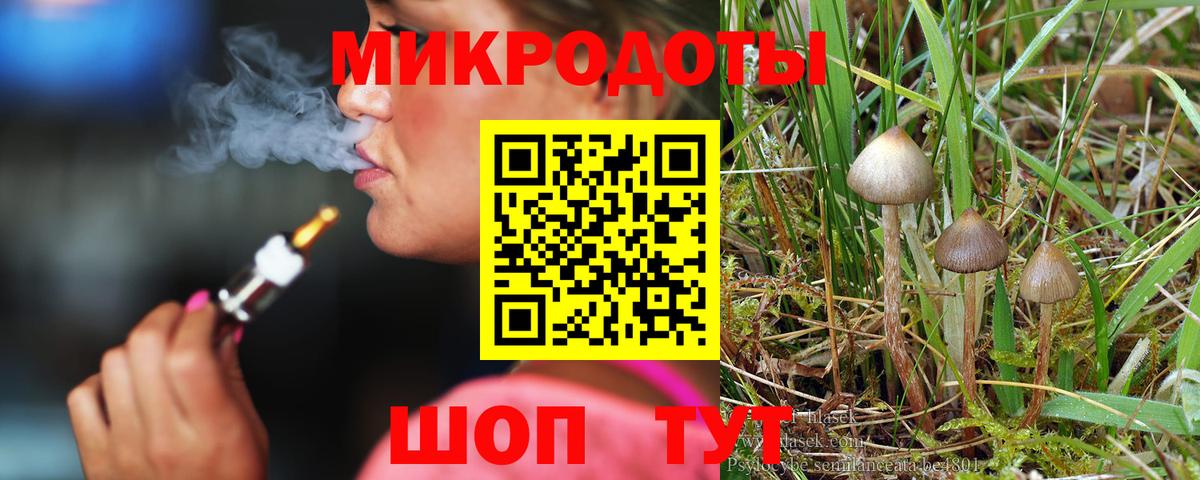 где купить наркотик  Галлюциногенные грибы Cubensis  Псилоцибиновые грибы мицелий  Вход с VPN  Сокол 